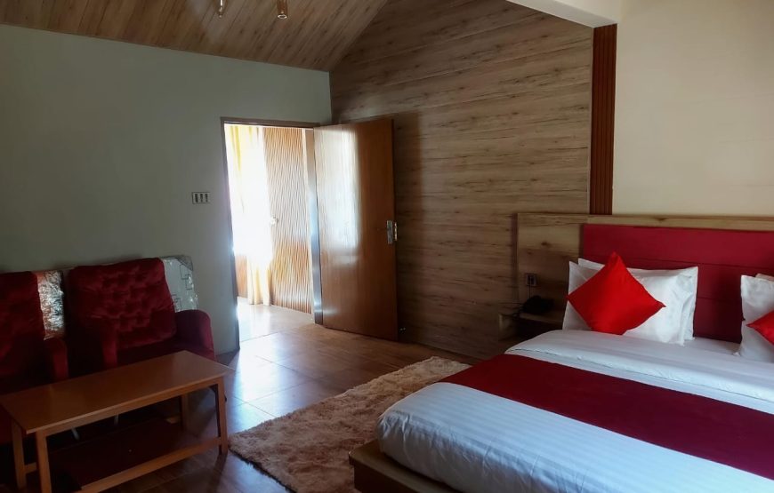 Hotel Village Inn (Naran)