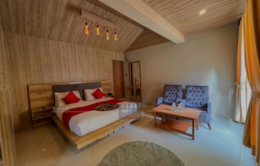 Hotel Village Inn (Naran)