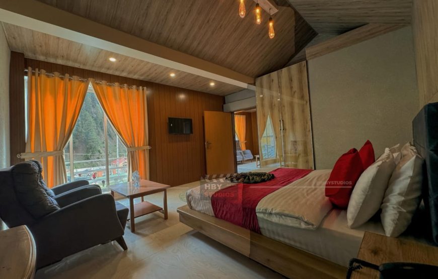 Hotel Village Inn (Naran)